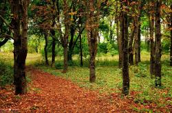 开云体育登录-巨头阴影下的孤勇者，陶汉林41+18扛起浙江险胜步行者