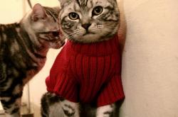 开云体育官网-五月，与竞争同在的唯一一条路