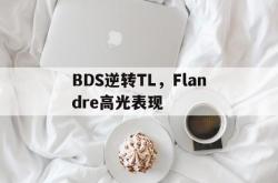 开云体育入口-BDS逆转TL，Flandre高光表现