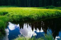 开云体育app-逆风起翼，当东方巨龙掀翻星月骑士，姆巴佩在巴黎夜雨中完成自我救赎