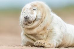 开云体育-当足球场变成季后赛战场，苏格兰用篮球战术强势击溃加纳