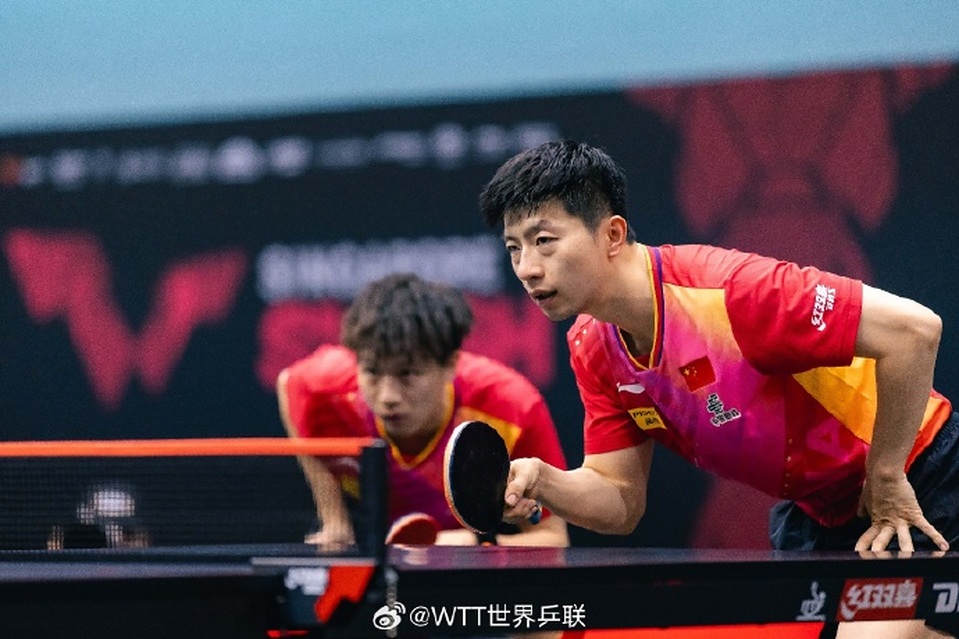 比利时乒乓球队横扫德国乒乓球队,马龙统治全场 比利时乒乓球队横扫德国乒乓球队,马龙统治全场