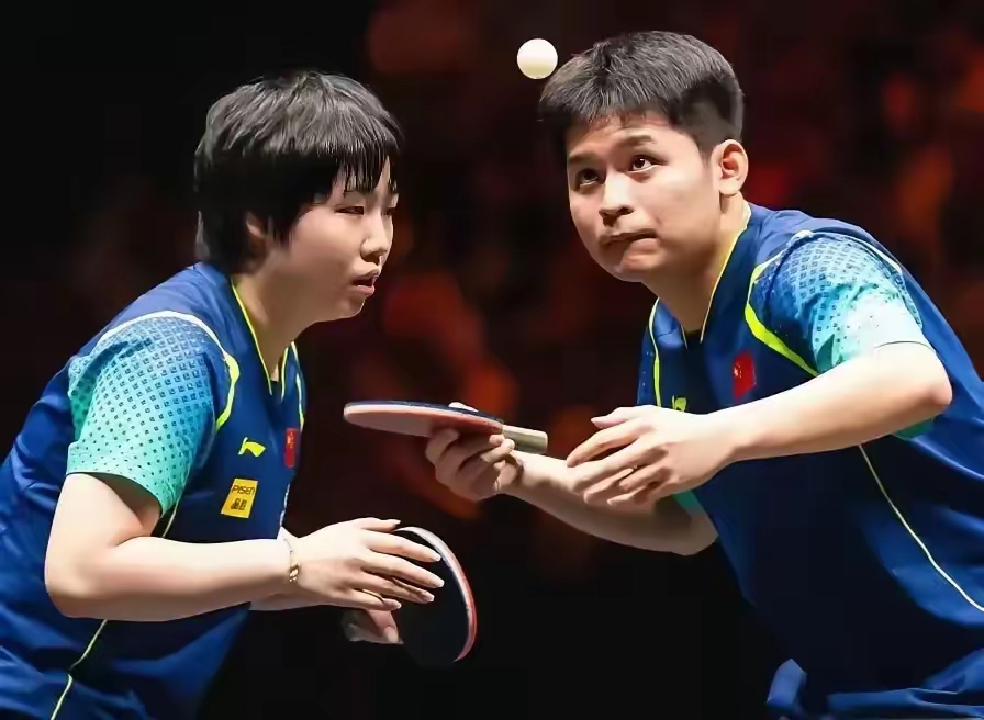 包含法国队力克韩国队，许昕高光表现的词条