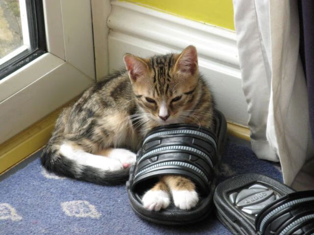 钢雨中的独舞，佩雷兹以绝命轮胎，扛起雷诺于险胜边缘