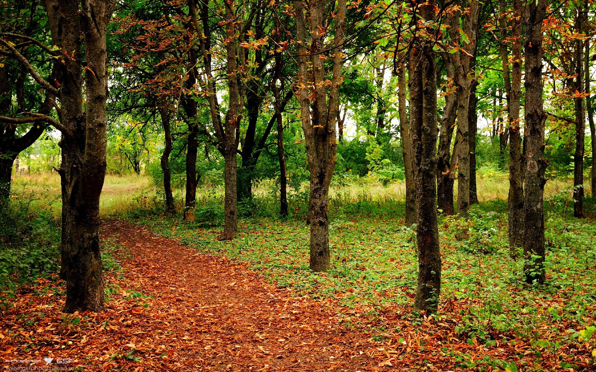 巨头阴影下的孤勇者，陶汉林41+18扛起浙江险胜步行者