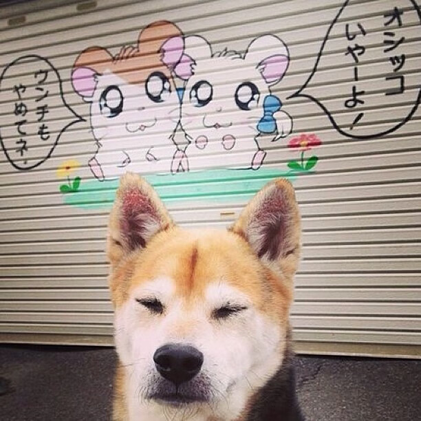 勒克莱尔关键制胜，威廉姆斯力克索伯车队，一场战术的胜利