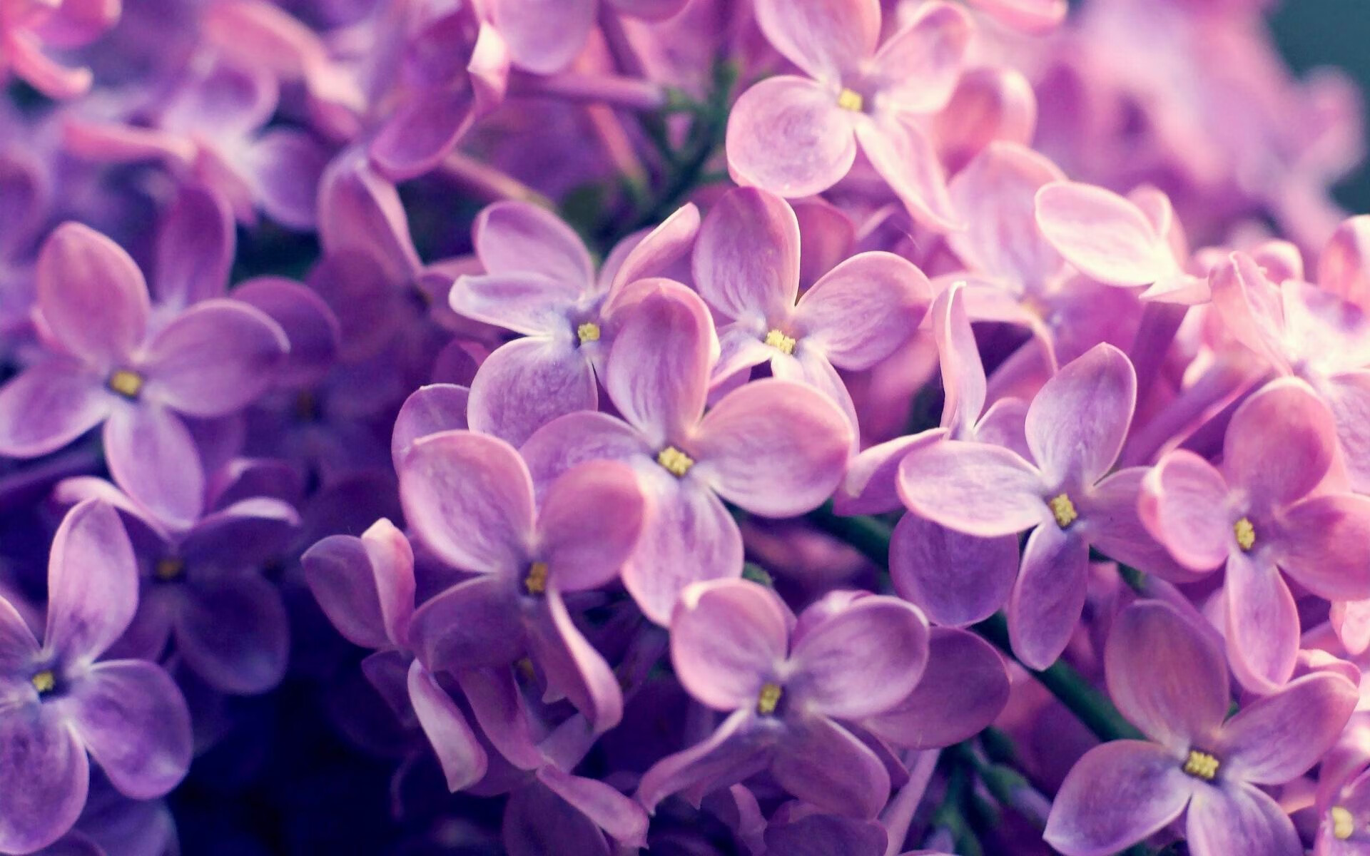 决胜之夜，隔海双响炮，巴特勒绝杀震辽宁，库里神射定乾坤