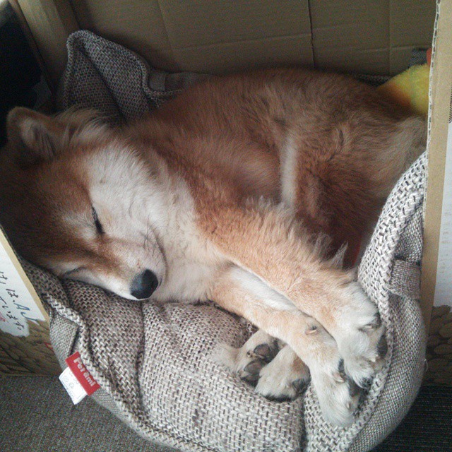 雨林风暴席卷北欧，火力全开的哥斯达黎加如何让巴斯托尼成为关键先生