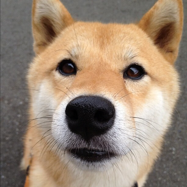 高原风暴撕裂格子铁壁，维尼修斯年度焦点战上演单骑救主