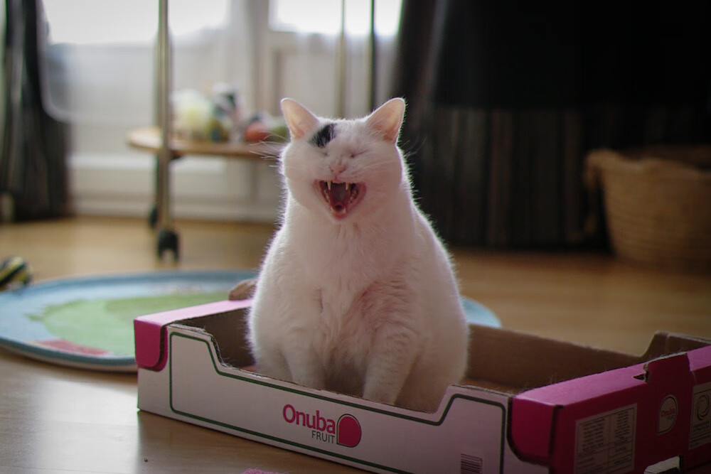 范弗利特单核托起撕裂之城！魔术血拼开拓者，他写就孤胆英雄传说