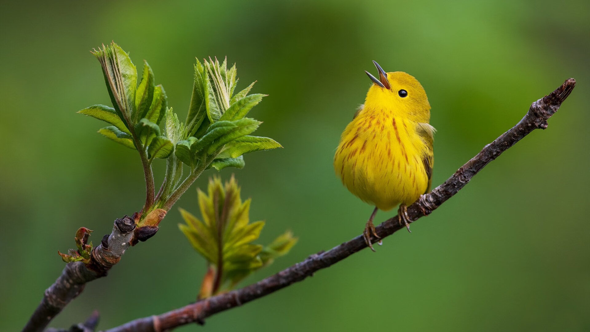 跨界之夜，当篮球巨星降临绿茵场