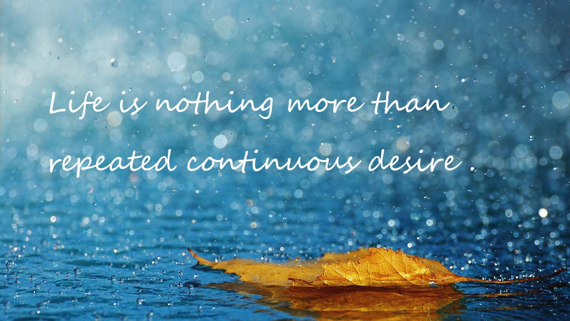 当紫金军团碾压辽宁,范弗利特已在F1赛道上演终局接管—掌控力,是跨维度通用的终极语言