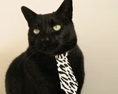 非洲新星掀翻日耳曼战车，托马斯·穆勒的跨界转折点