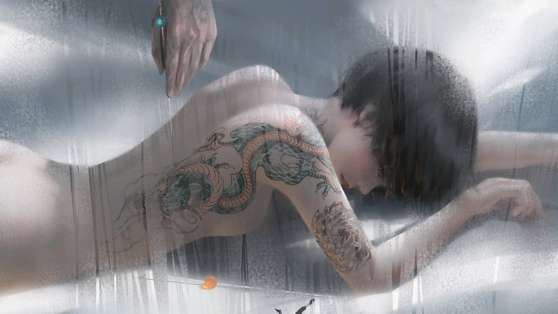 选项(供您选择)