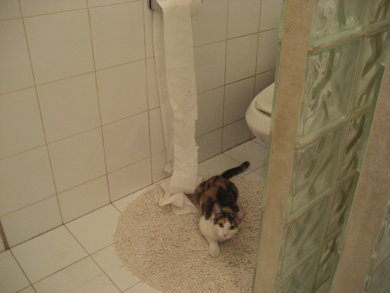 冰封北境！布伦森化身屠龙者，逆破解密快船破局密码