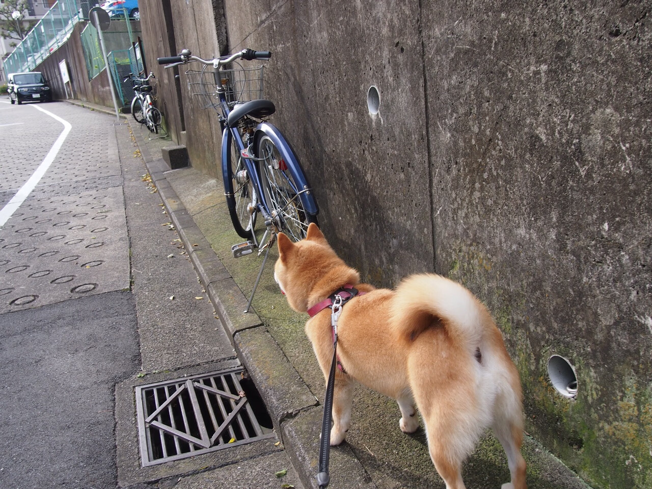 当步行者与热火陷入尺寸困局，约基奇已悄然定义新时代篮球