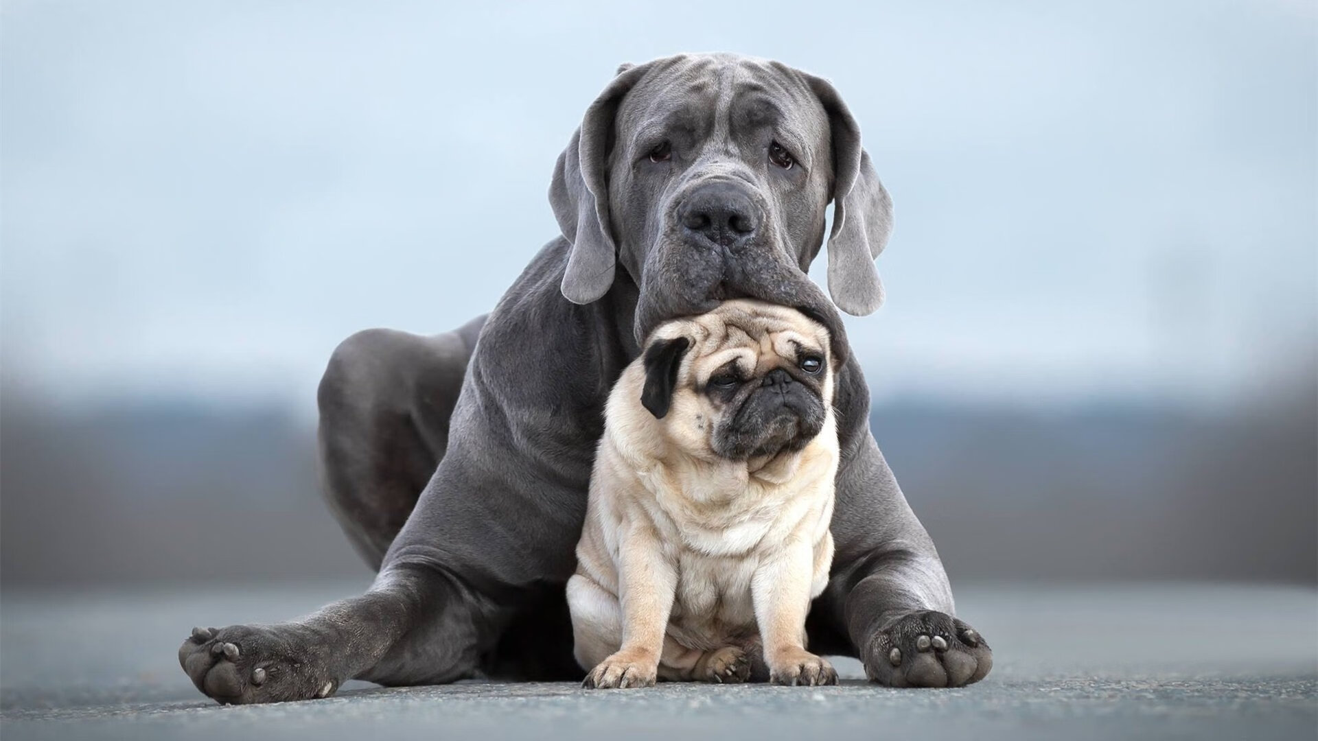 权力的游戏，爱德华兹运筹帷幄，德甲争冠之夜一手定乾坤