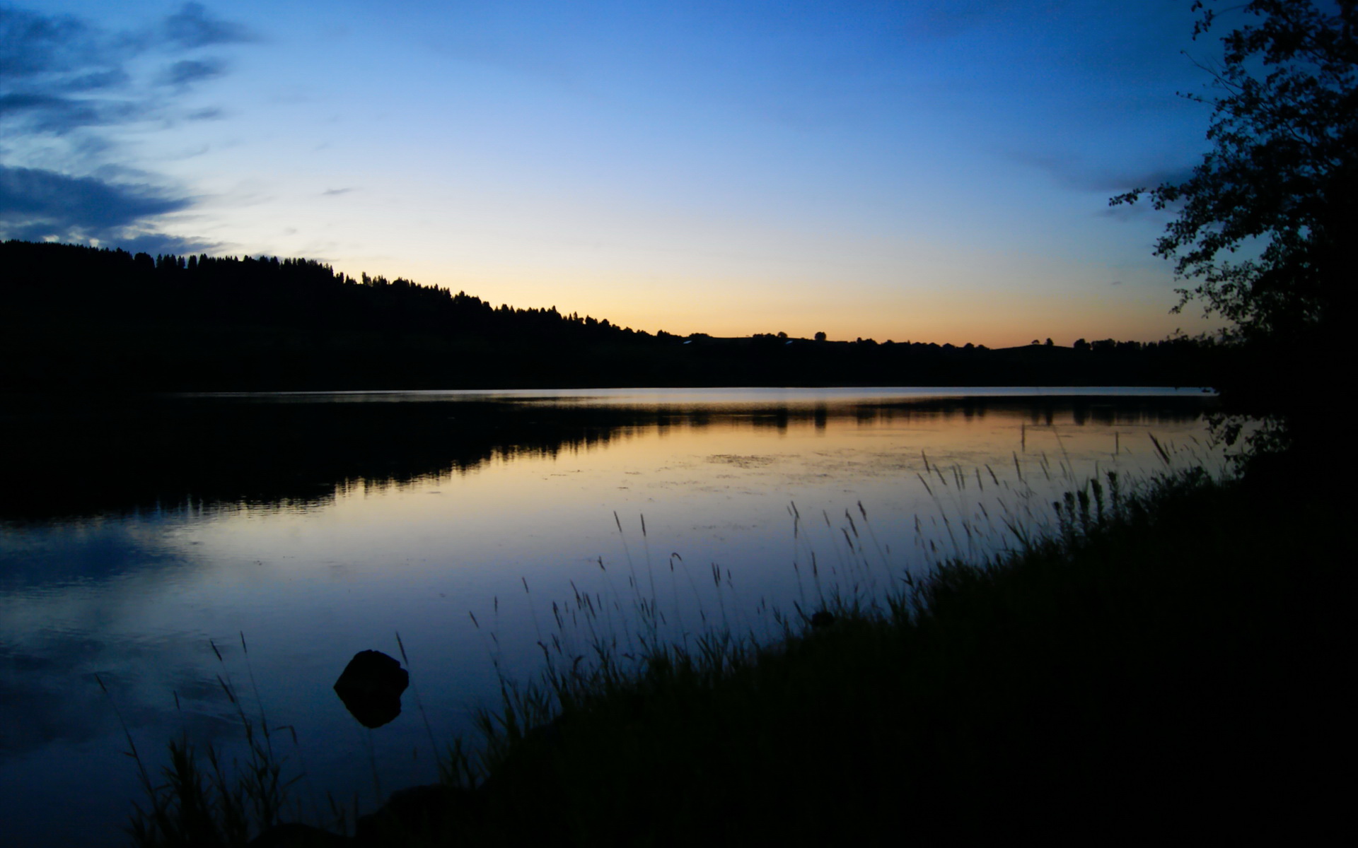 当马赛的烟火遇见佛城的月光,巴尔韦德如何用不掉线的稳定,电击欧洲建议