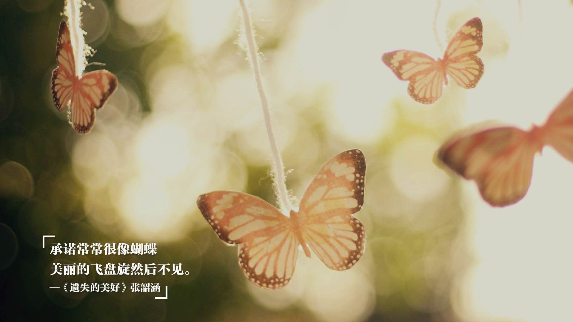 美加墨世界杯焦点战，佛罗伦萨之魂，厄瓜多尔之殇