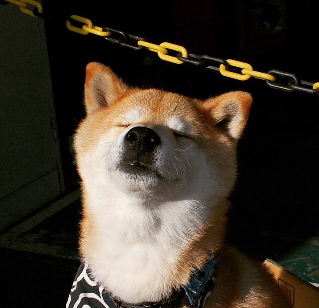 太阳的攻势足球，德甲争冠启示与凤凰城的一波流艺术