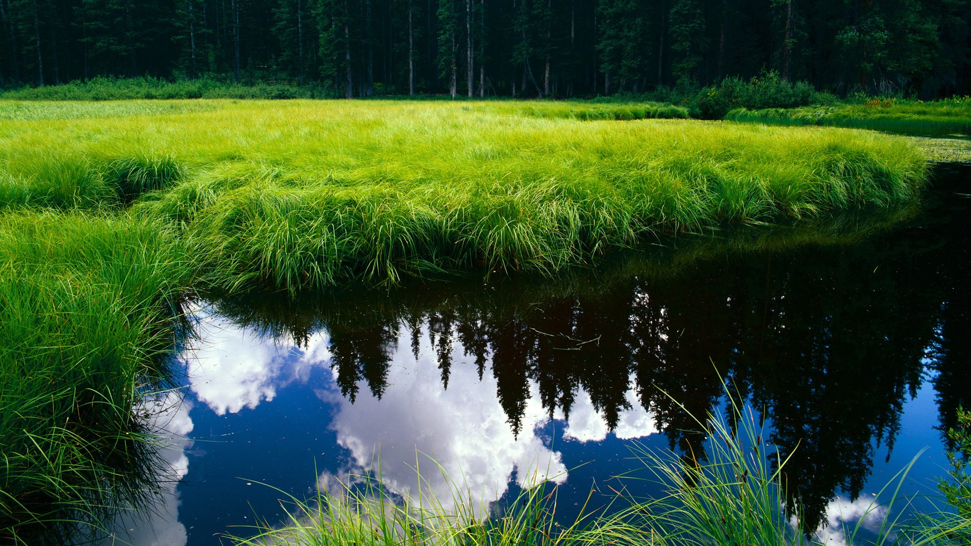 逆风起翼,当东方巨龙掀翻星月骑士,姆巴佩在巴黎夜雨中完成自我救赎
