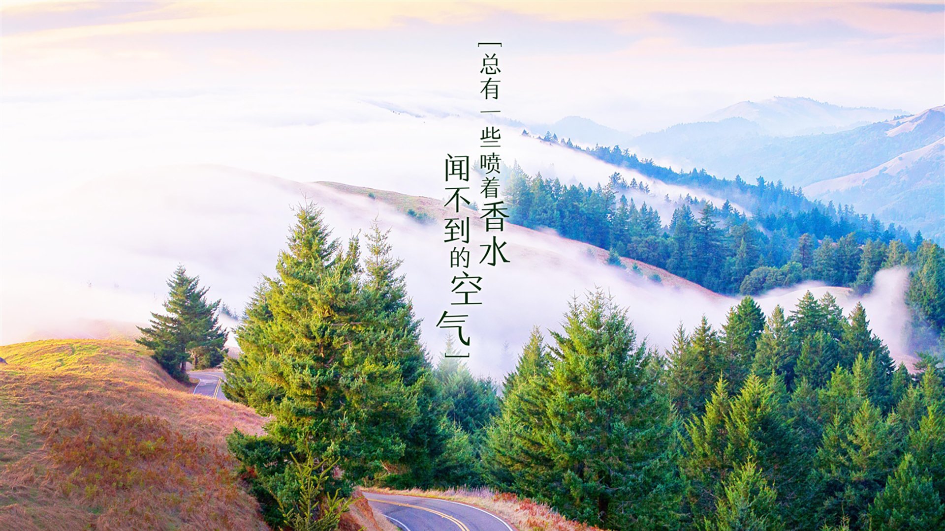 2026世界杯巅峰对决,西班牙传控艺术完胜捷克,萨内独舞引领德国复仇之战